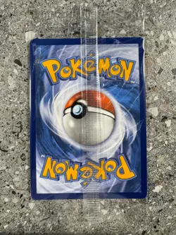 Pokemon TCG Charmander SVP044 Illustration Rare Black Star Promo Holo SEALED - Image 2