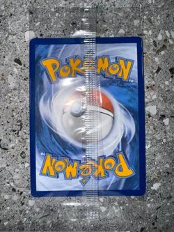 Pokemon TCG Charmander SVP044 Illustration Rare Black Star Promo Holo SEALED - Image 4