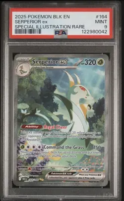 2025 Pokemon Black EN Serperior Special Illustration Rare Card Mint 164 PSA 9 - Image 1