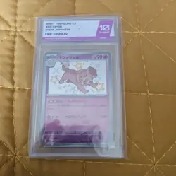 Dachsbun 267/190 Shiny Treasure ex Baby S Rare SV Vault Holo Pokemon TCG PSA 10 - Image 1