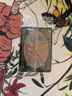 Festival In a Box: Atlanta 2025 Promo Cards - Image 3