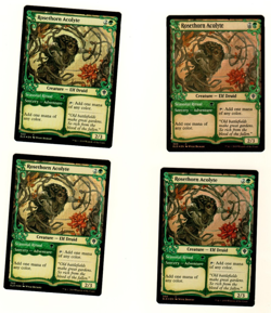 Set Of 4 Rosethorn Acolyte Showcase 300 Common Foil Throne Of Eldraine MTG Card - Image 1