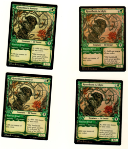 Set Of 4 Rosethorn Acolyte Showcase 300 Common Foil Throne Of Eldraine MTG Card - Image 3
