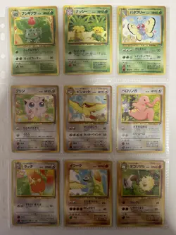 Pokemon Card Complete Southern Island 18 Card Set Japanese - Image 3