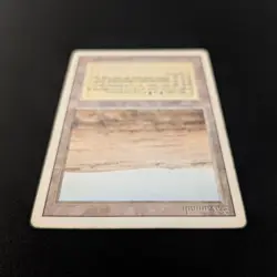 MTG \>> Savannah (PL) <<// Revised - 341 Trading - Magic - Image 4