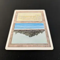 MTG \>> Tropical Island (LP) <<// Revised - 341 Trading - Magic - Image 4