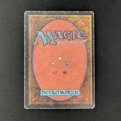 MTG \>> Scrubland (PL) <<// Revised - 341 Trading - Magic - Image 2