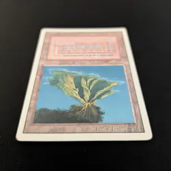 MTG \>> Volcanic Island (GD) <<// Revised - 341 Trading - Magic - Image 4