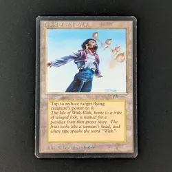 MTG \>> Island of Wak-Wak (LP) <<// Arabian Nights - 341 Trading - Magic - Image 1