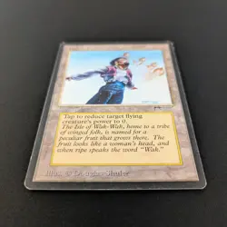 MTG \>> Island of Wak-Wak (LP) <<// Arabian Nights - 341 Trading - Magic - Image 3