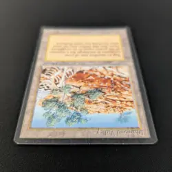 MTG \>> Diamond Valley (GD) <<// Arabian Nights - 341 Trading - Magic - Image 4