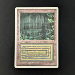 MTG \>> Bayou (LP) <<// Foreign White Bordered - 341 Trading - Magic - Image 1