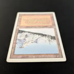 MTG \>> Taiga (PL) <<// Revised - 341 Trading - Magic - Image 4