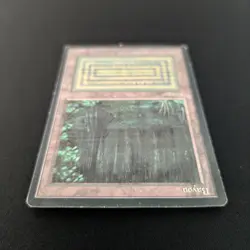 MTG \>> Bayou (PO) <<// Foreign Black Bordered - 341 Trading - Magic - Image 4