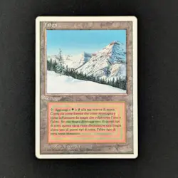 MTG \>> Taiga (PL) <<// Foreign White Bordered - 341 Trading - Magic - Image 1