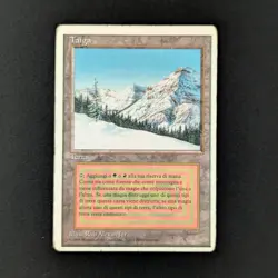 MTG \>> Taiga (PL) <<// Foreign White Bordered - 341 Trading - Magic - Image 1