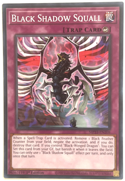 YuGiOh! - Black Shadow Squall - MP23-EN208 - 1st Edition - Common - Image 1