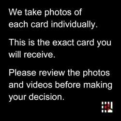 Treecko 037/PCG-P Yokohama Opening Promo Light Played 2005 Japanese Pokemon Card - Image 3