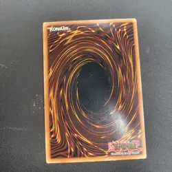 Neo-Spacian Air Hummingbird and Dark Panther POTD- Power of the Duelist 1st Ed. - Image 2