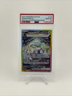 Pokemon TCG Terapagos EX Stellar Crown Card 170/142 PSA 10 Gem Mint - Image 1
