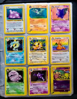 Vintage Pokemon Binder Collection, WOTC Holo's, Skyridge, Base - 207 Cards - Image 1