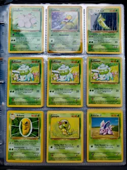 Vintage Pokemon Binder Collection, WOTC Holo's, Skyridge, Base - 207 Cards - Image 3