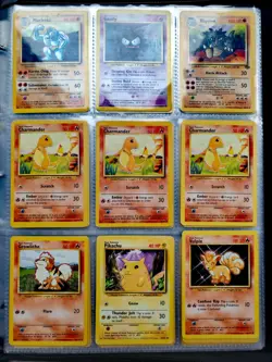 Vintage Pokemon Binder Collection, WOTC Holo's, Skyridge, Base - 207 Cards - Image 5