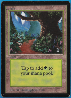 Forest (B Path) Beta HEAVILY PLD Basic Land MAGIC MTG CARD (ID# 505762) ABUGames - Image 1