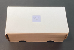 MTG - Kaladesh - Complete Set + Bonus Extras - NM - Non-Foil - Image 1