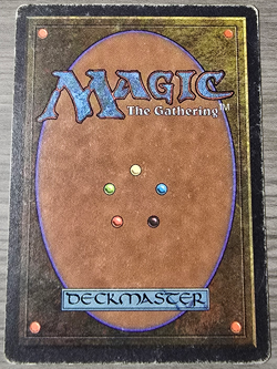 Forcefield Unlimited (Signed by Artist) Magic the Gathering MTG! - Image 2