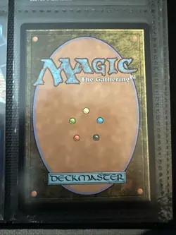 Misty Rainforest (Borderless) Special Guests Foil - Image 2