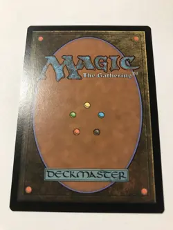 Delina, Wild Mage 🔥UNPLAYED🔥 (Showcase) Adventures in the Forgotten Realms MTG - Image 2