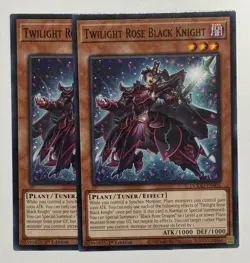 2x Twilight Rose Black Knight DOOD-EN005 C Doom of Dimensions NM 1st Ed Yugioh - Image 1