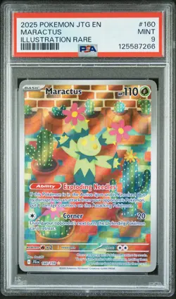 2025 POKEMON JTG EN-JOURNEY TOGETHER ILLUSTRATION RARE #160 MARACTUS PSA 9 - Image 1