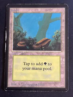 1x Forest (A) Limited Edition - Beta HP MTG Magic the Gathering x1 MKE - Image 1