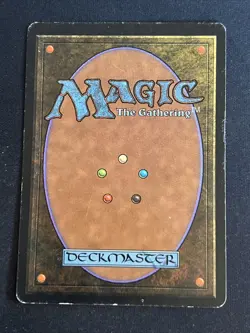 1x Forest (A) Limited Edition - Beta HP MTG Magic the Gathering x1 MKE - Image 2