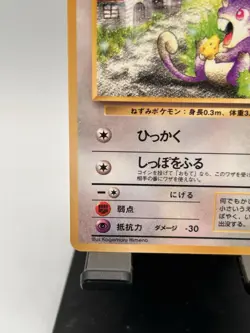 [NM] RATTATA Japanese Vending Series No.019 Pokemon TCG GLOSSY Vintage MINT - Image 5
