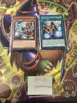 Yugioh Amazoness Card Lot - Image 1