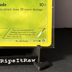 Pokemon TCG Legendary Treasures 6/113 - SNIVY, Unlimited Regular Common - Image 4