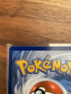 Pokemon TCG Eevee GX SM233 Full Art Promo Black Star Ultra Rare Holo NM - Image 4
