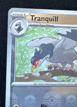 TRANQUILL 072/086 NM COMMON POKE BALL PATTERN BLACK BOLT POKEMON 2025 - Image 4