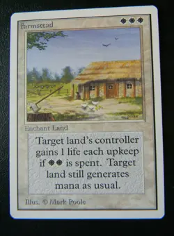FARMSTEAD : UNLIMITED : MTG : 1993 : NAER MINT : SEE PHOTO'S - Image 1