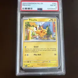 Pikachu Regular Common #062 - PSA MINT 8 - 2023 SV Paldea Evolved - Pokemon TCG - Image 1