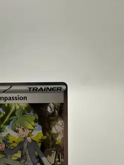 Wally’s Compassion 186/132 Special Illustration Rare Pokemon TCG Mega Evolution - Image 4