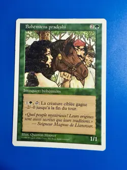 1 BANNED MTG | Pradesh | French Fifth Edition 5ED 1997 Magic The Gathering | NM - Image 1