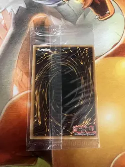 Dark Paladin Secret Rare DMG-001 Sealed Near Mint Yugioh TCG - Image 2