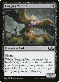 1x Gorging Vulture - NM English MTG - Magic 2020 - Image 1