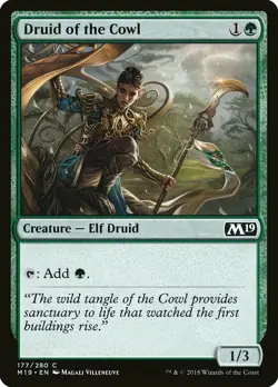 1x Druid of The Cowl - NM English MTG - Magic 2019 - Image 1