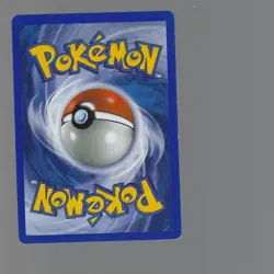 Yellow Border Gallery BW Style Pokemon Blank Filler Card Error Card - Image 2