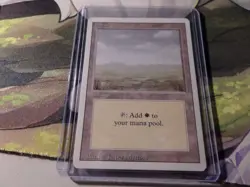 MTG 3rd Edition Revised 1994 Plains (C) MINT Old School 93/94 2 Lot - Image 1